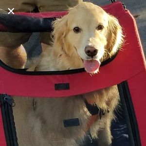 Meet your Posher, Diane